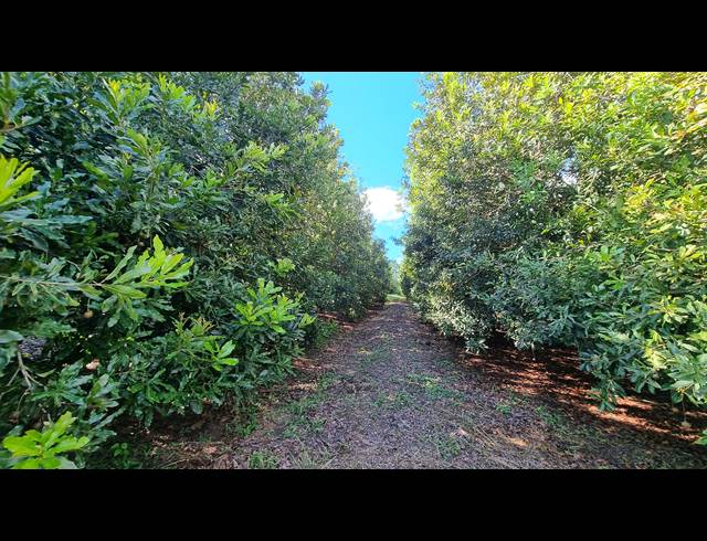 14.60HA SMALLHOLDING FOR SALE IN NELSPRUIT RURAL